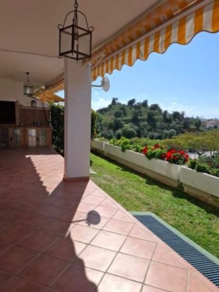 WhatsApp Image 2026-02-04 at 11.14.28