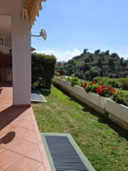 WhatsApp Image 2026-02-04 at 11.14.29